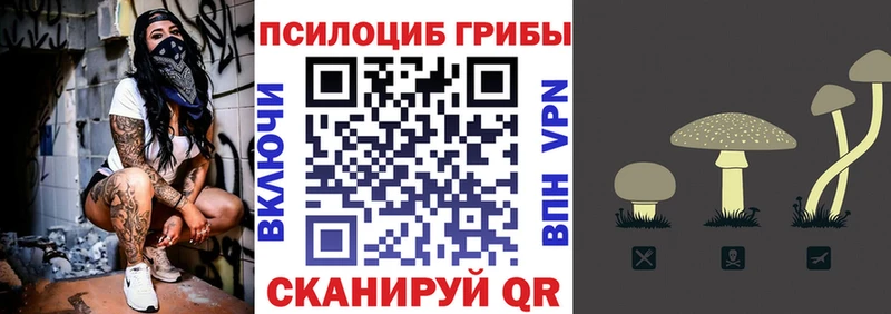 Псилоцибиновые грибы Cubensis  Красный Холм 